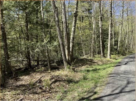 Residential at 0 Clark Rd Parcel 13, Tolland MA 01034, Tolland, photo 2 of 4