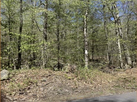 Residential at 0 New Boston Rd Parcel 1, Tolland MA 01034, Tolland, photo 2 of 3