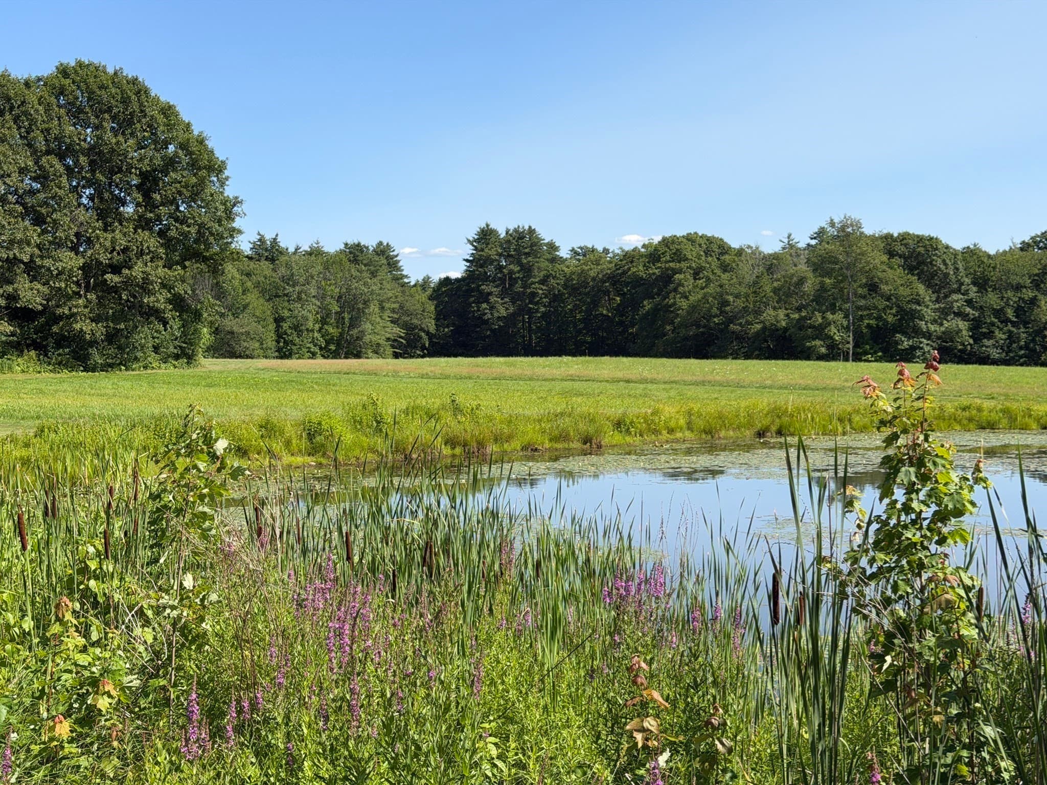 Single Family Residence at 337 New Salem Rd, Petersham MA 01366, Petersham, photo 15 of 18