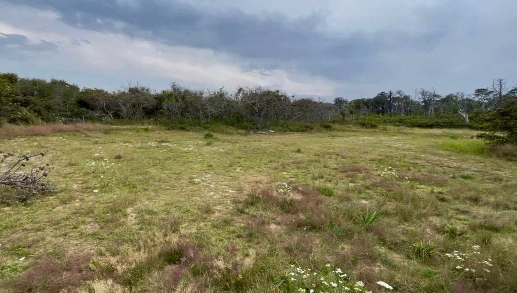 Residential at 245 Nauset Light Beach Rd, Eastham MA 02642, Eastham, photo 3 of 11