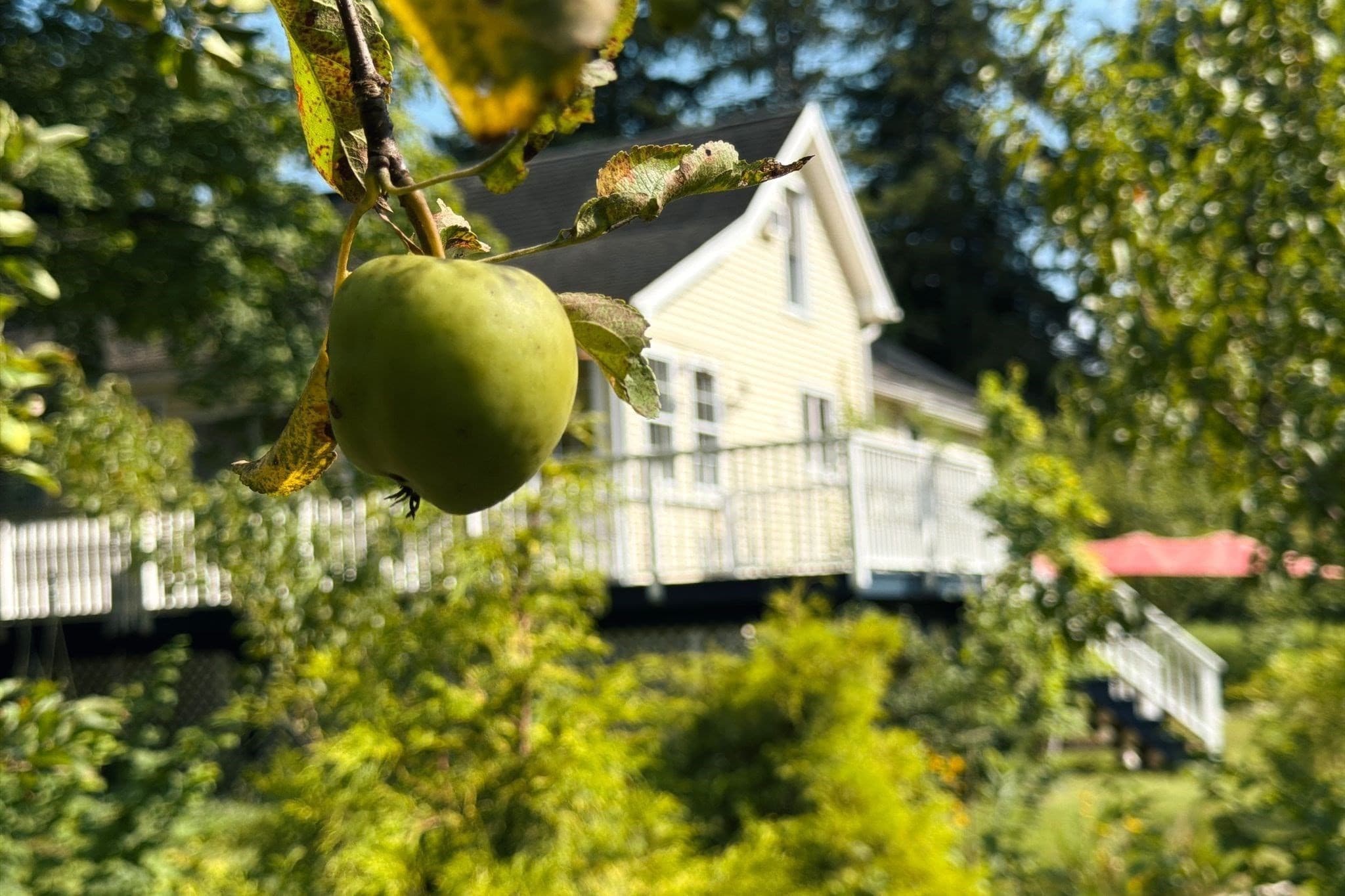 Single Family Residence at 143 Park St, Easthampton MA 01027, Easthampton, photo 36 of 42