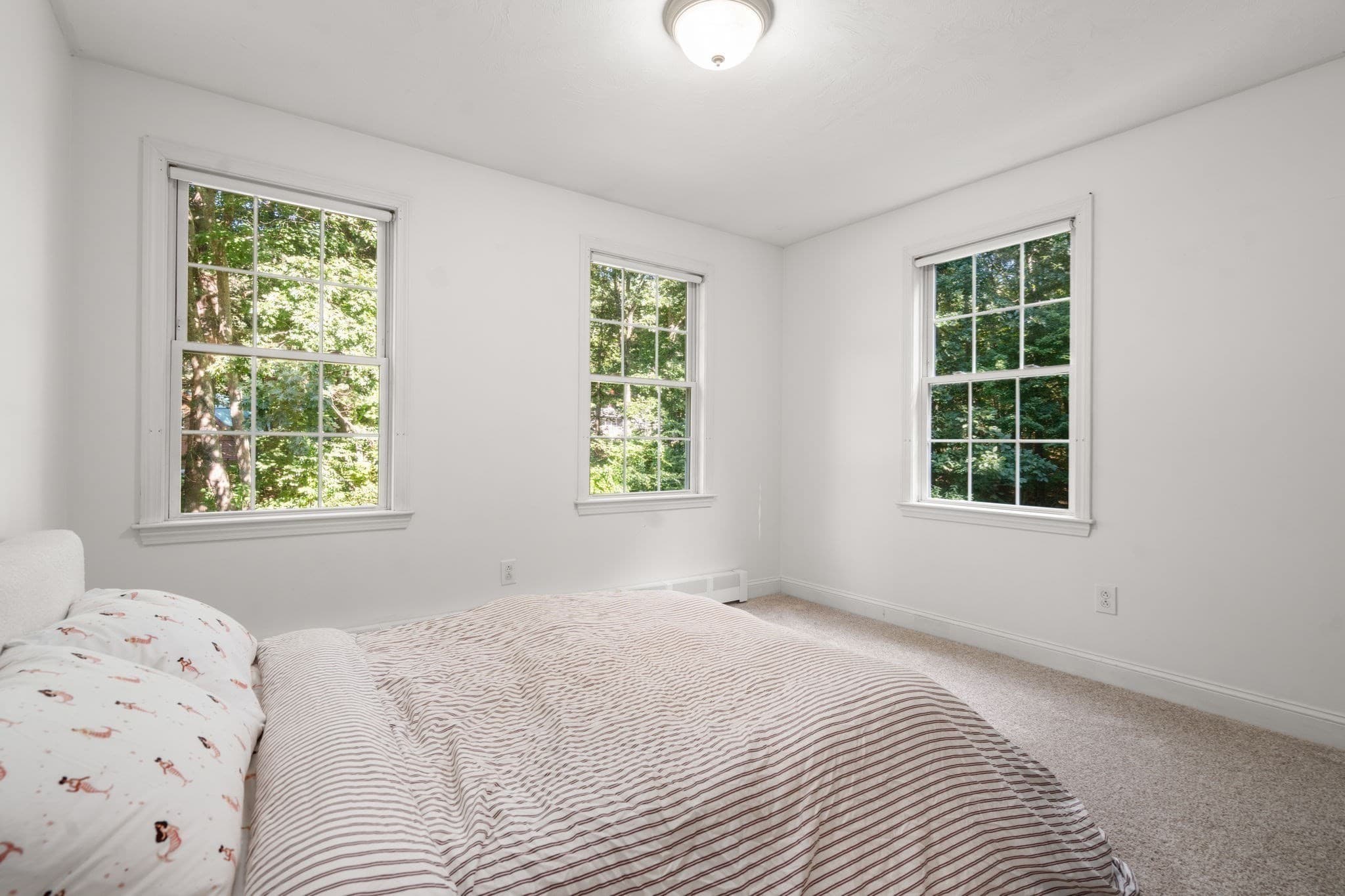 Single Family Residence at 53 E Baylies Road, Charlton MA 01507, Charlton, photo 33 of 41
