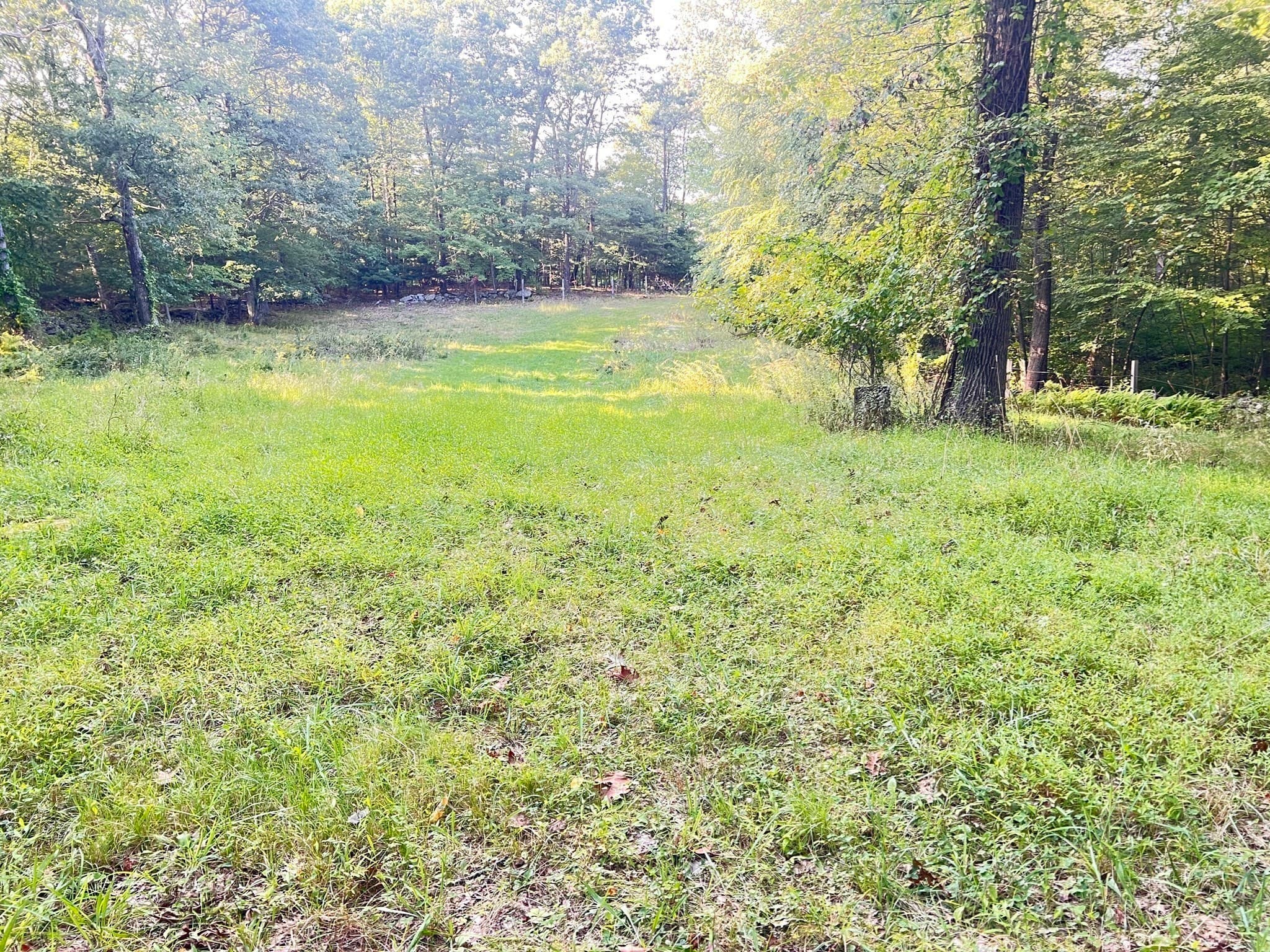 Farm at 296 Yew St, Douglas MA 01516, photo 5 of 27