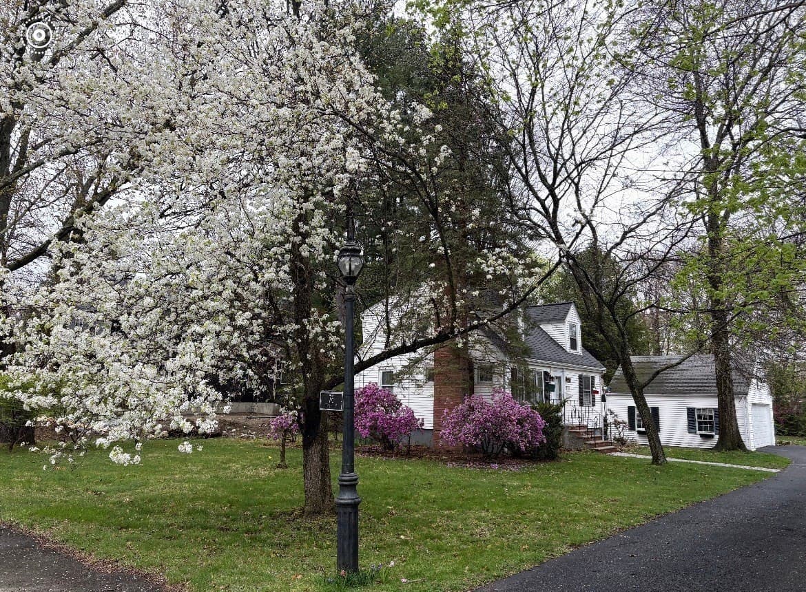 Single Family Residence at 76 Curtis Street, Reading MA 01867, Reading, photo 33 of 33