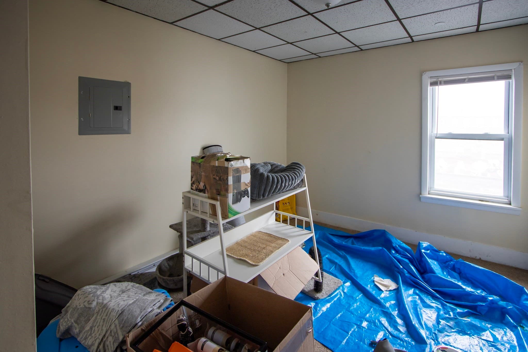 5-9 Family at 46 Millbury St, Worcester MA 01610, Worcester, photo 16 of 22