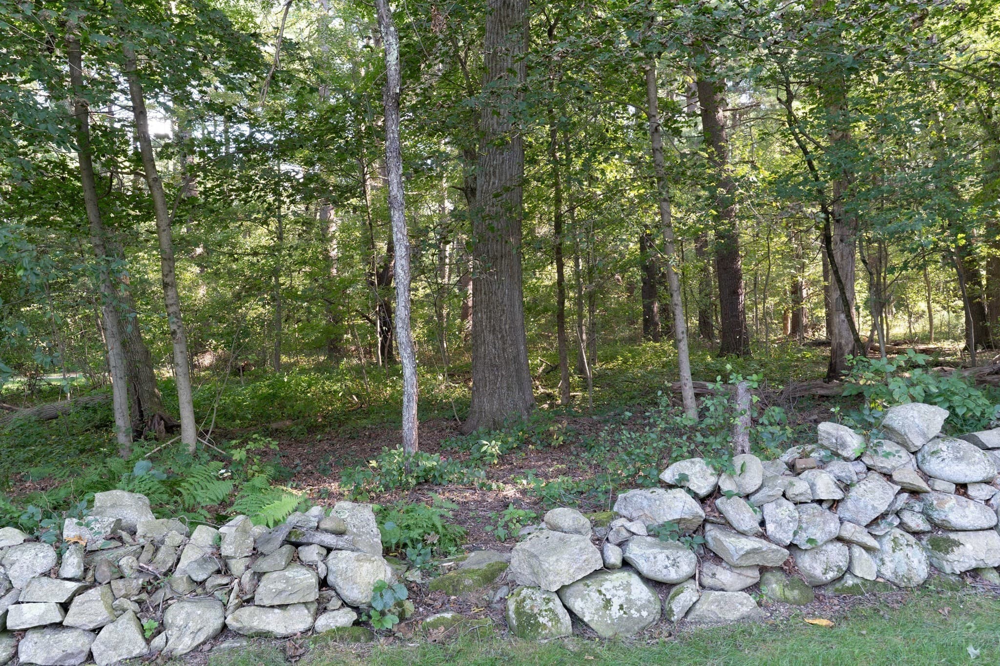 Single Family Residence at 14 Delaney Ave, Dudley MA 01571, Dudley, photo 38 of 40
