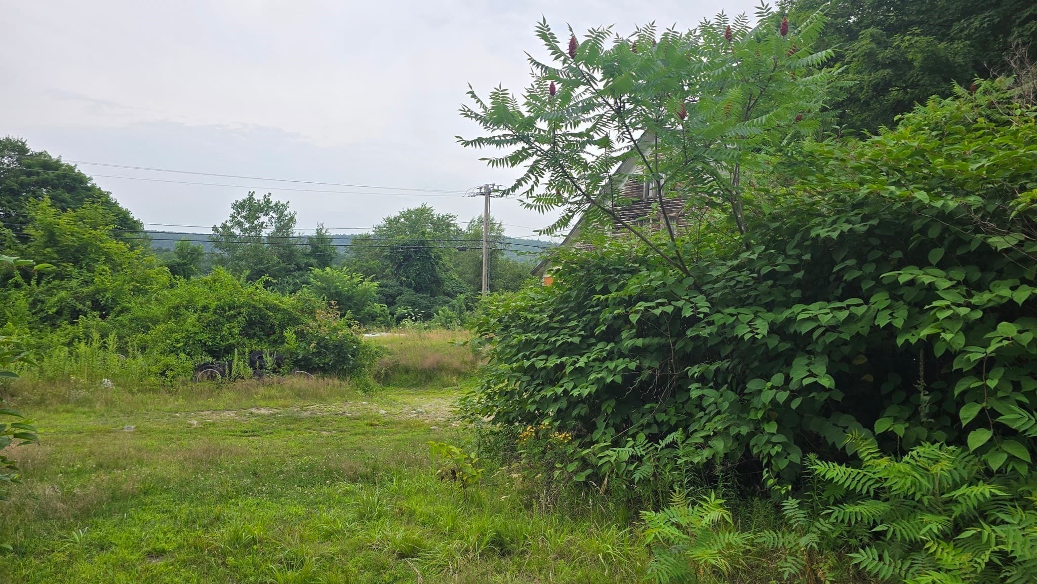 Residential at 1451 Ware St, Palmer MA 01069, Palmer, photo 17 of 22