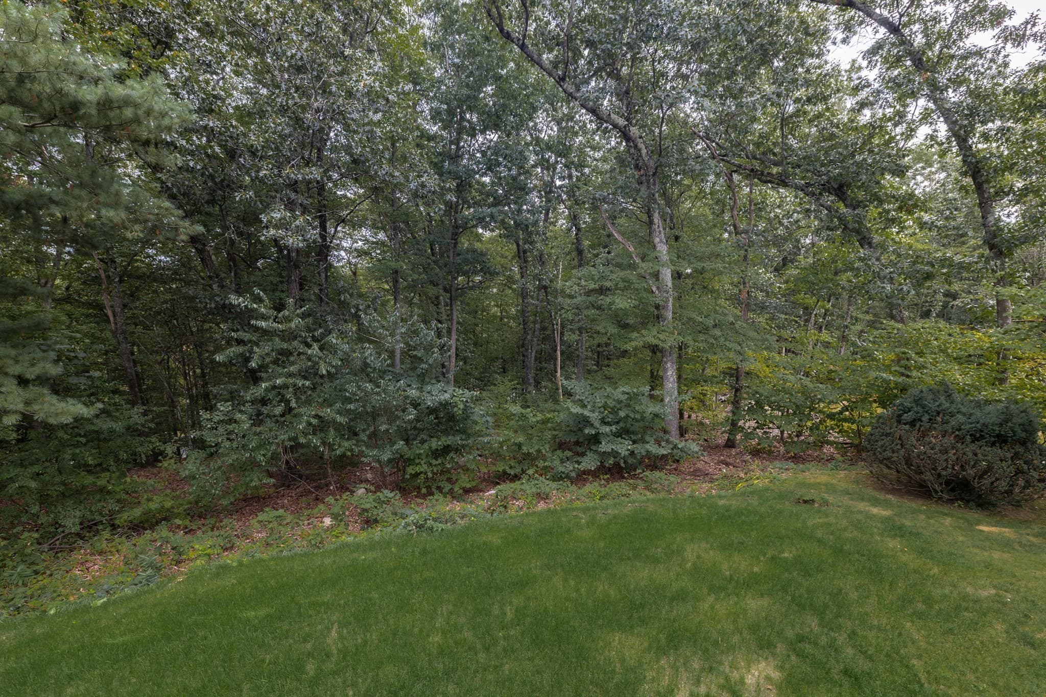 Single Family Residence at 54 Checkerberry Ln, Framingham MA 01702, Framingham, photo 37 of 40