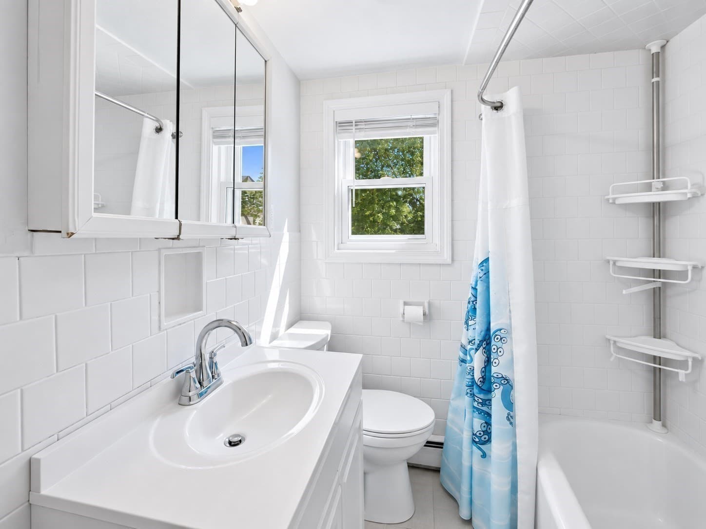 Single Family Residence at 195 Mills Ave, Revere MA 02151, Revere, photo 15 of 36