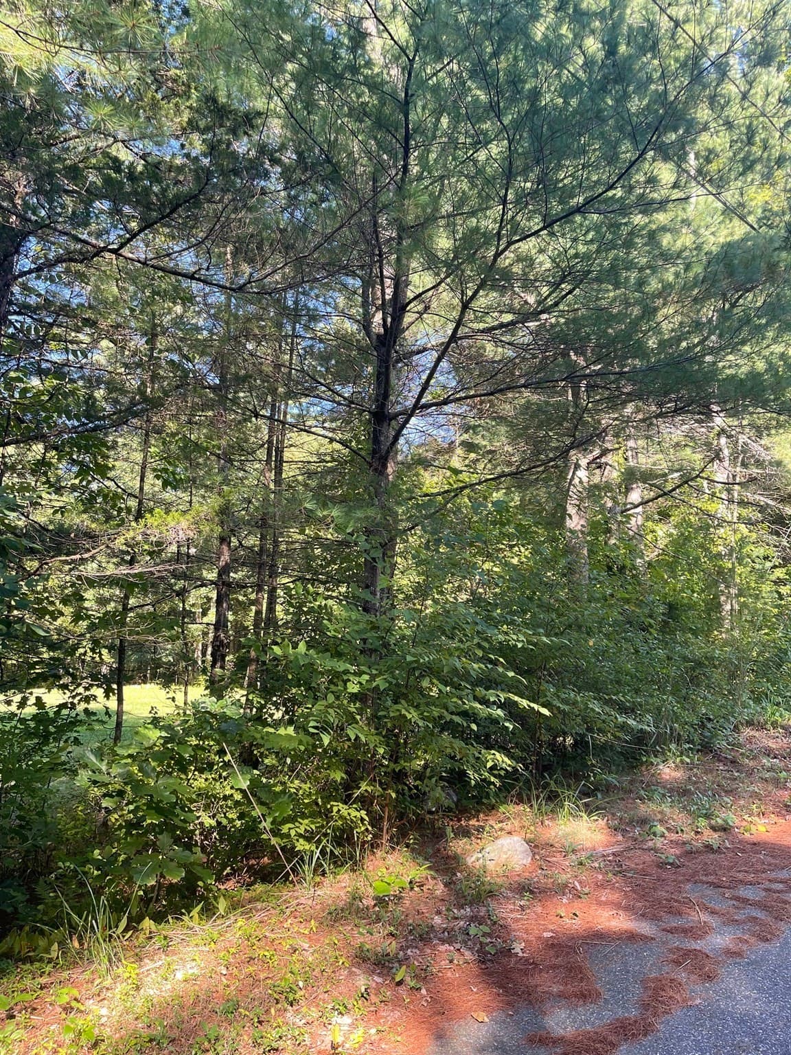 Residential at Lot 3 Old Farm Circle, Belchertown MA 01007, Belchertown, photo 3 of 4