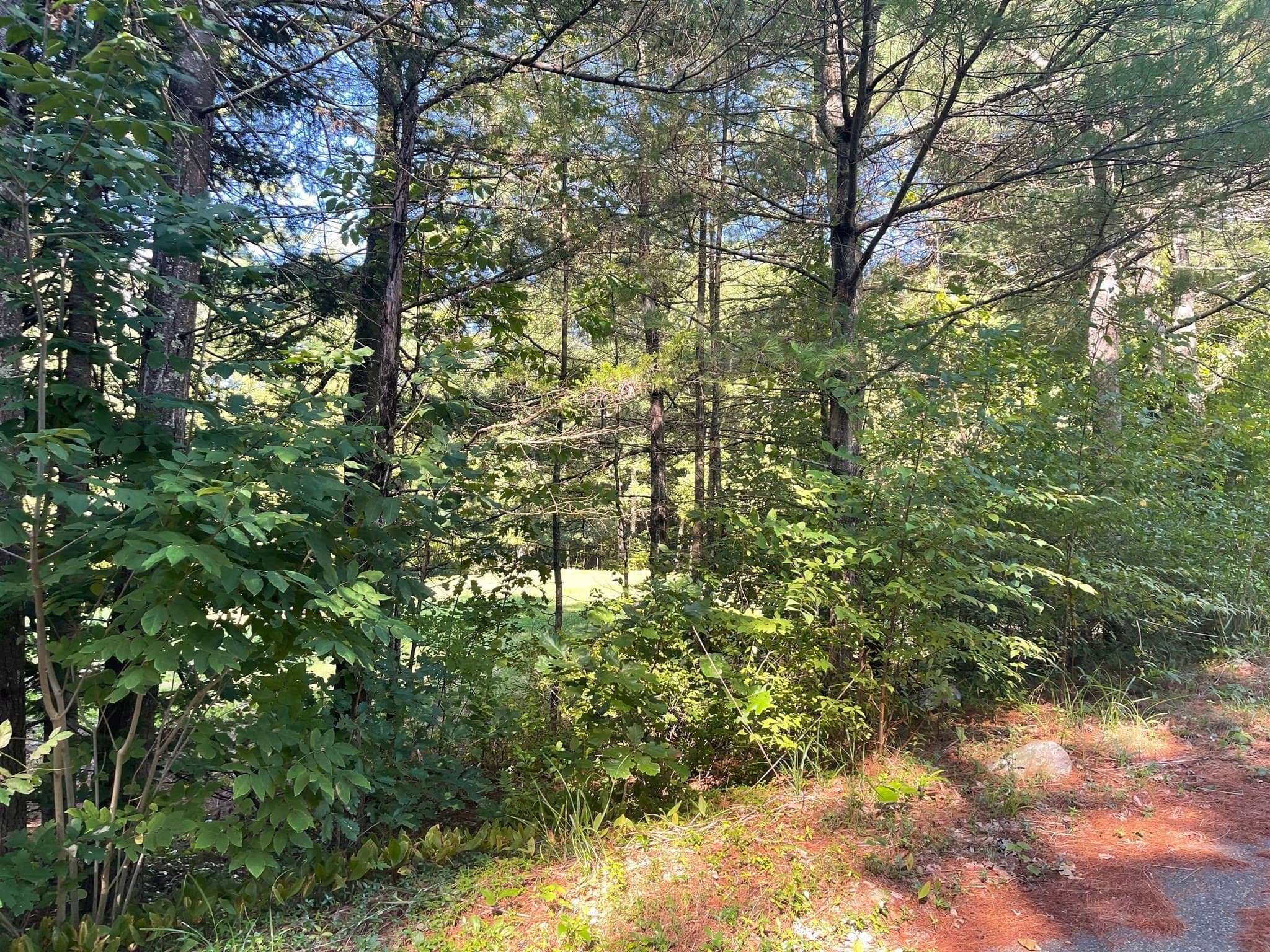 Residential at Lot 3 Old Farm Circle, Belchertown MA 01007, Belchertown, photo 4 of 4