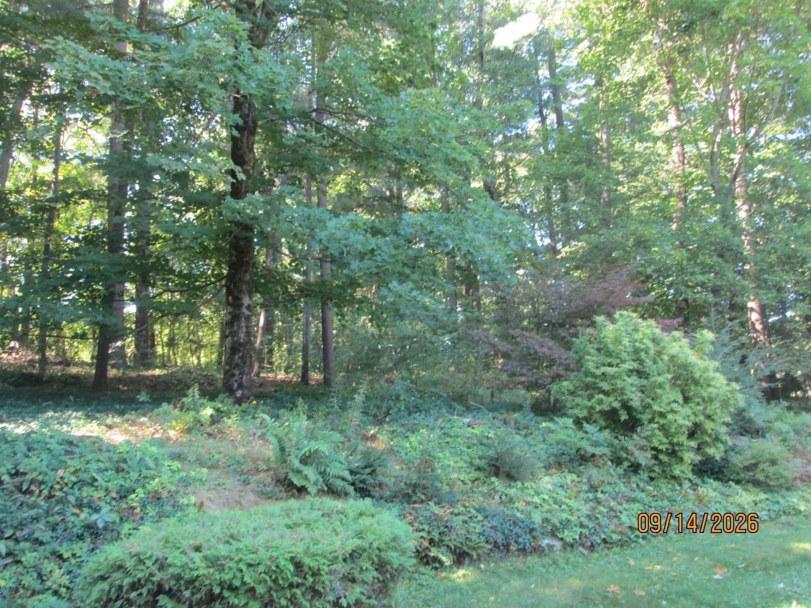 Single Family Residence at 9 Lawsbrook, Acton MA 01720, Acton, photo 28 of 30
