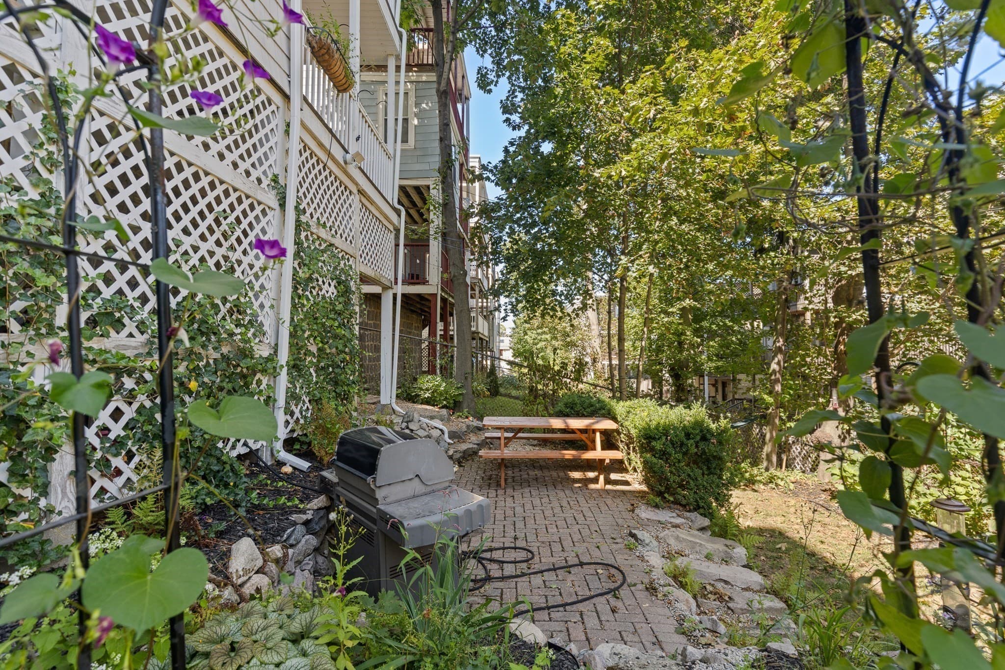 Condominium at 54 Percival Street # 2, Boston MA 02122, photo 21 of 23