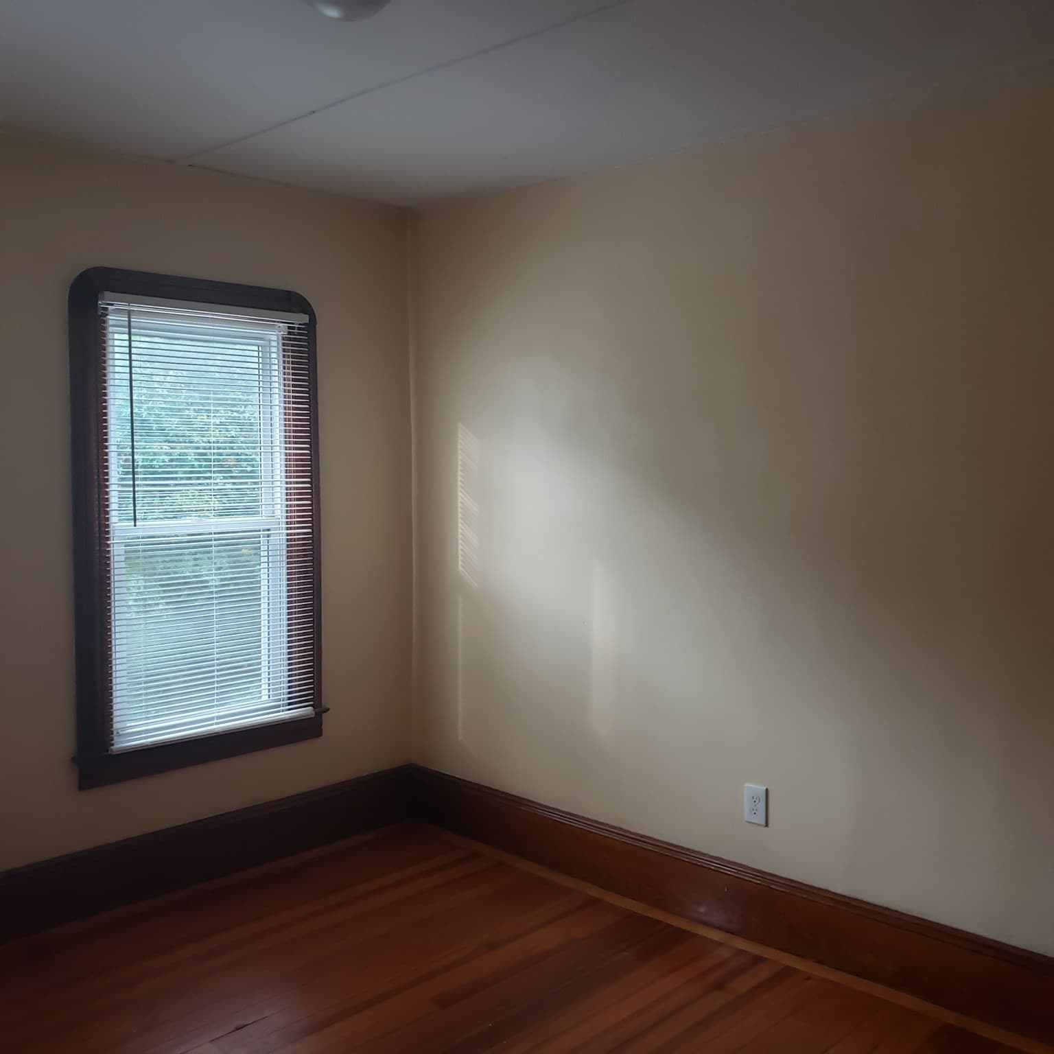 3 Family at 44-46 Langdon St, Springfield MA 01104, Springfield, photo 37 of 38