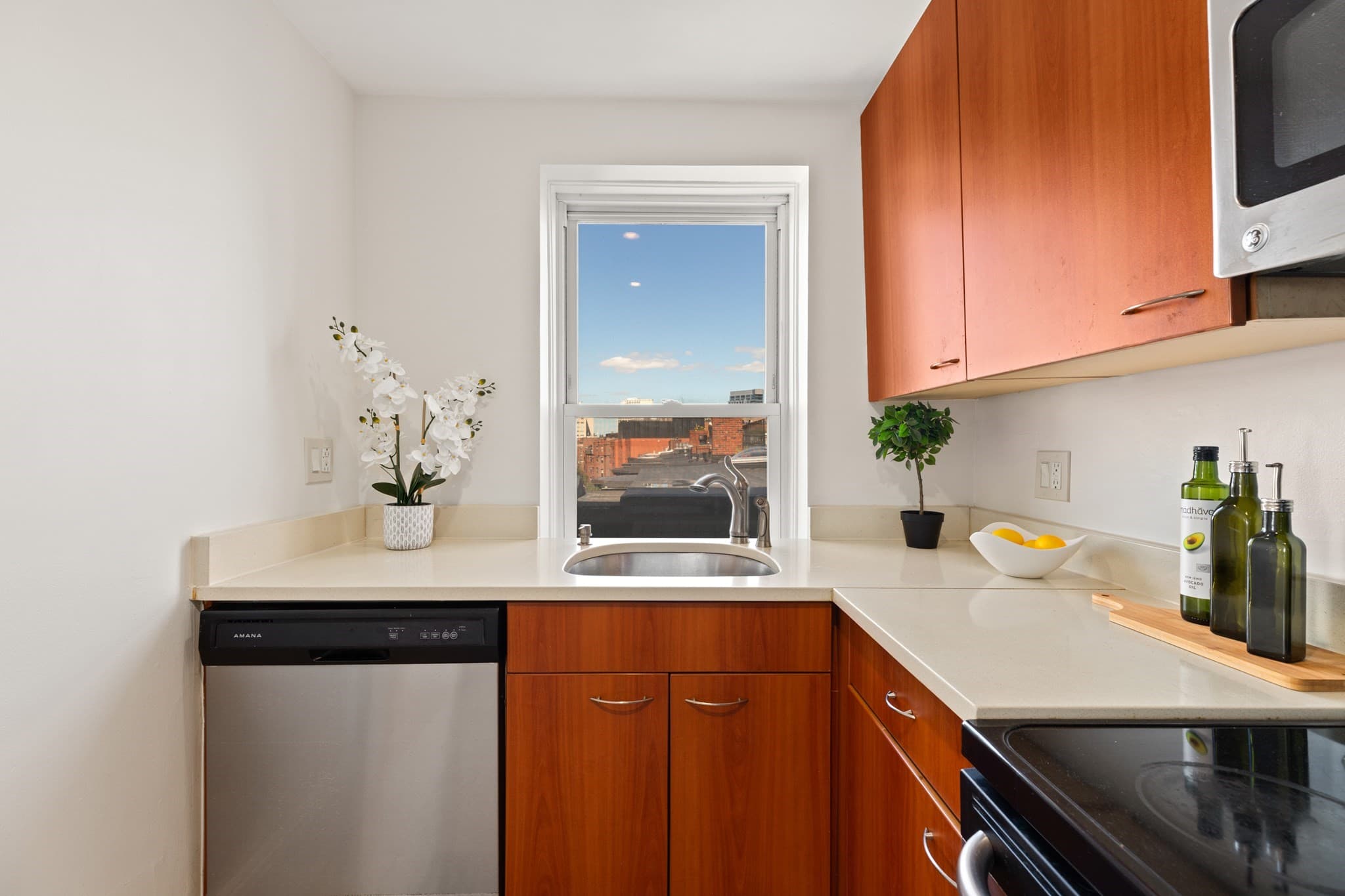 Condominium at 492 Massachusetts Ave # 63, Boston MA 02118, photo 9 of 26