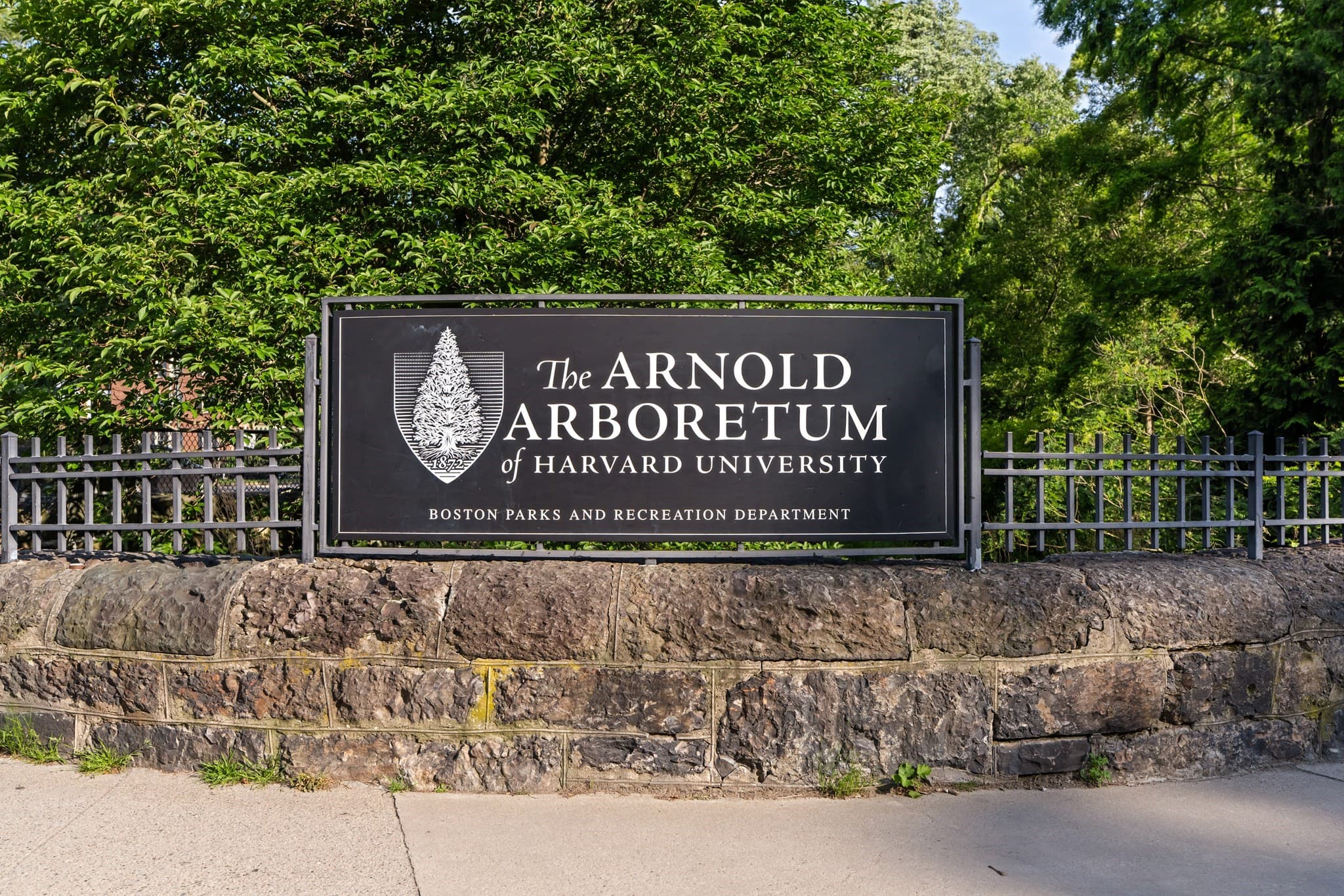 Condominium at 125 Hyde Park Ave # A, Boston MA 02130, Boston, photo 39 of 40