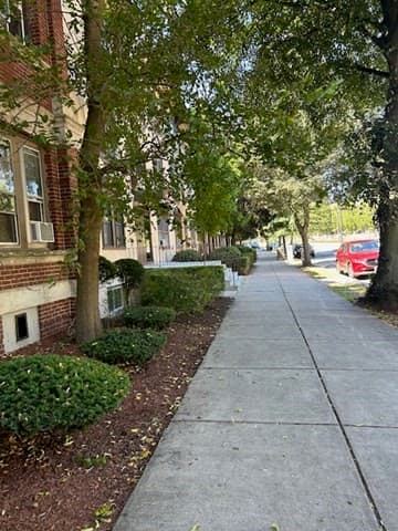 Condominium at 1710 Commonwealth Ave. # 3, Boston MA 02135, photo 3 of 12