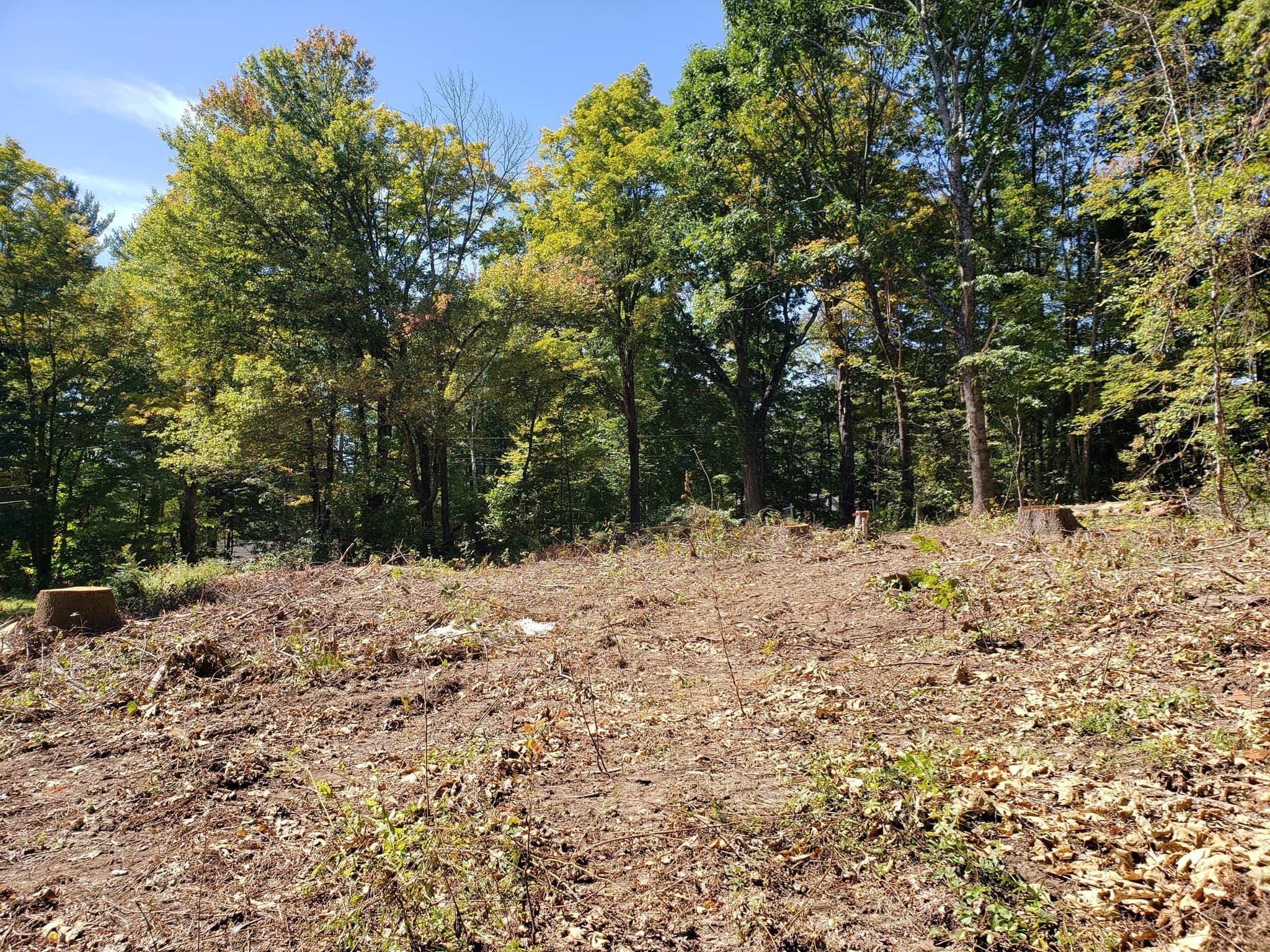 Single Family Residence at 40 Harlow Clark Road, Huntington MA 01050, photo 16 of 18