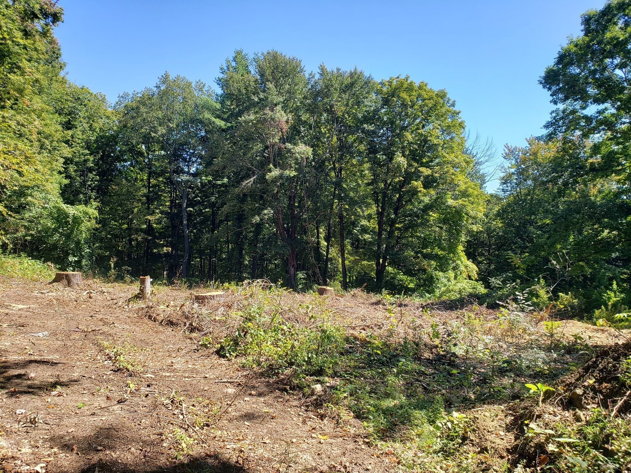 Single Family Residence at 40 Harlow Clark Road, Huntington MA 01050, photo 10 of 18
