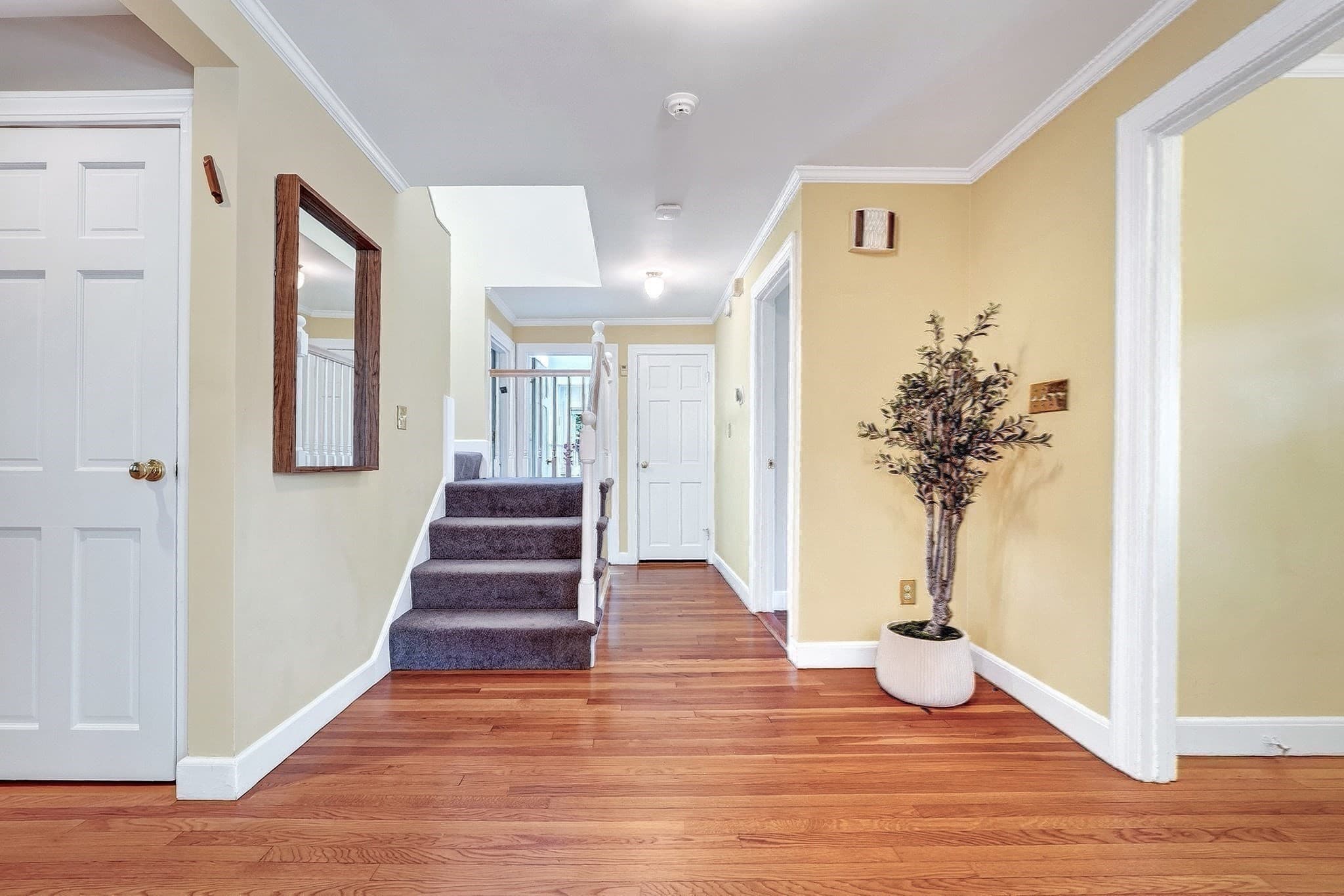 Single Family Residence at 22 Nardell Rd, Newton MA 02459, Newton, photo 24 of 35