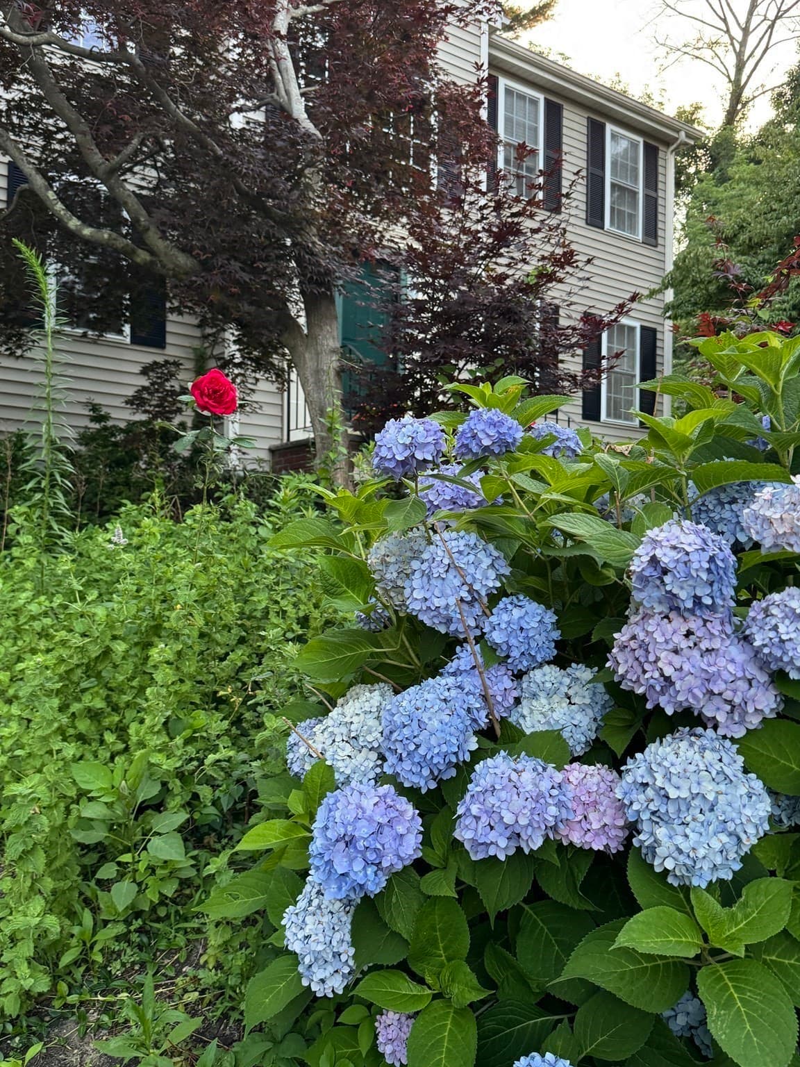 Single Family Residence at 8 Taylor Way, Stoughton MA 02027, Stoughton, photo 37 of 42