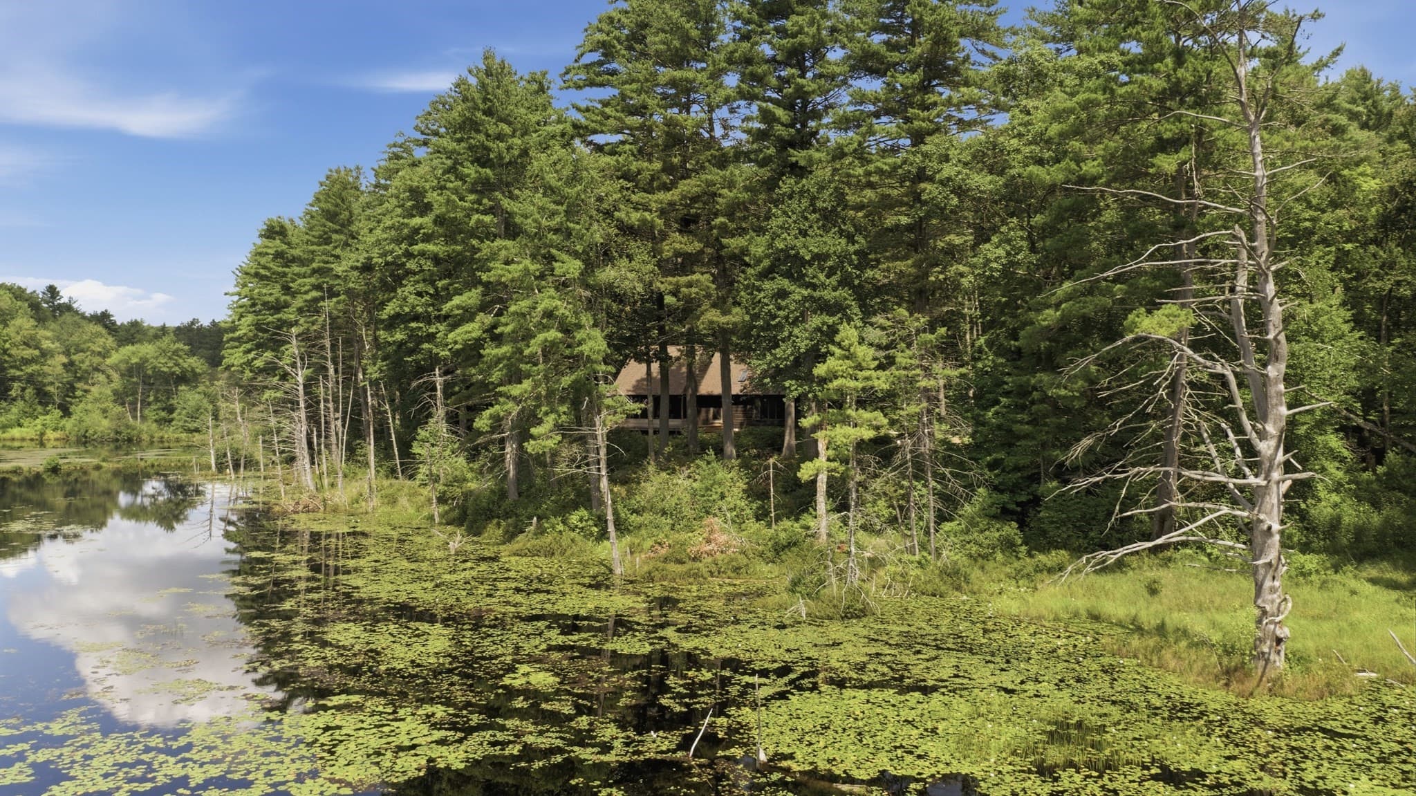 Single Family Residence at 488 White Rd, Warwick MA 01378, photo 40 of 42