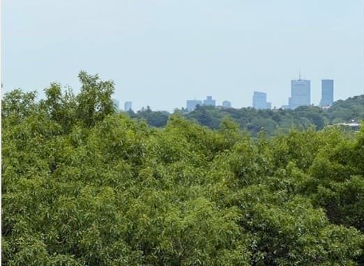 Condominium at 280 Boylston Street # 908, Newton MA 02467, Newton, photo 21 of 39
