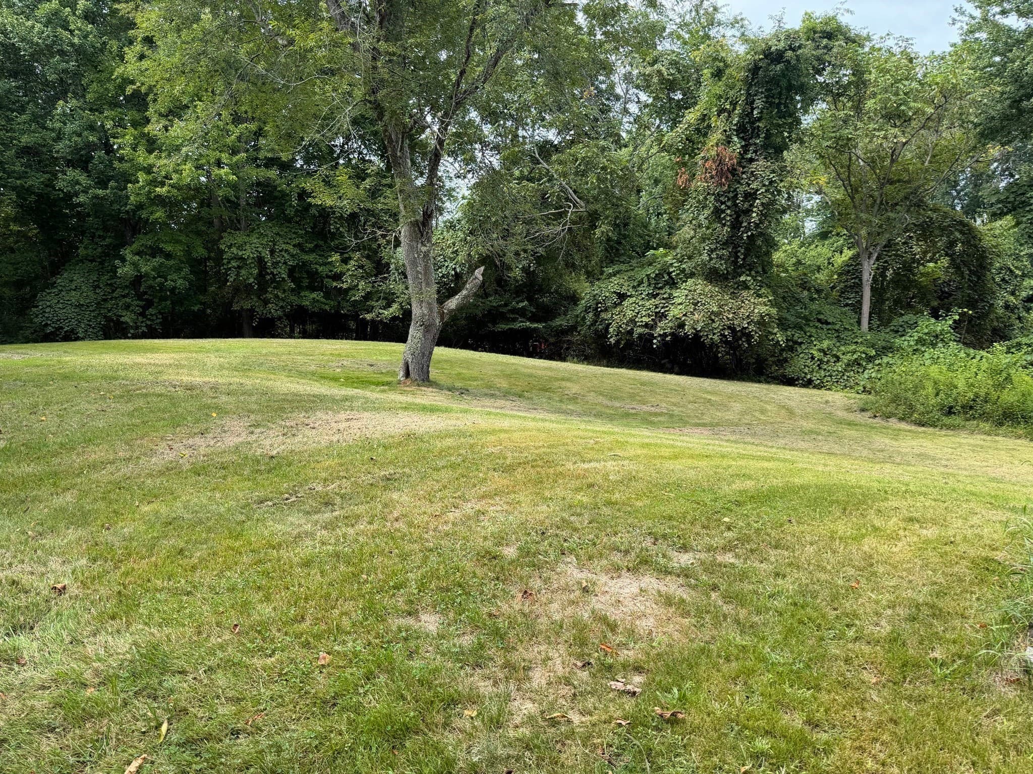 Single Family Residence at 211 Alger St, Brockton MA 02302, Brockton, photo 5 of 28