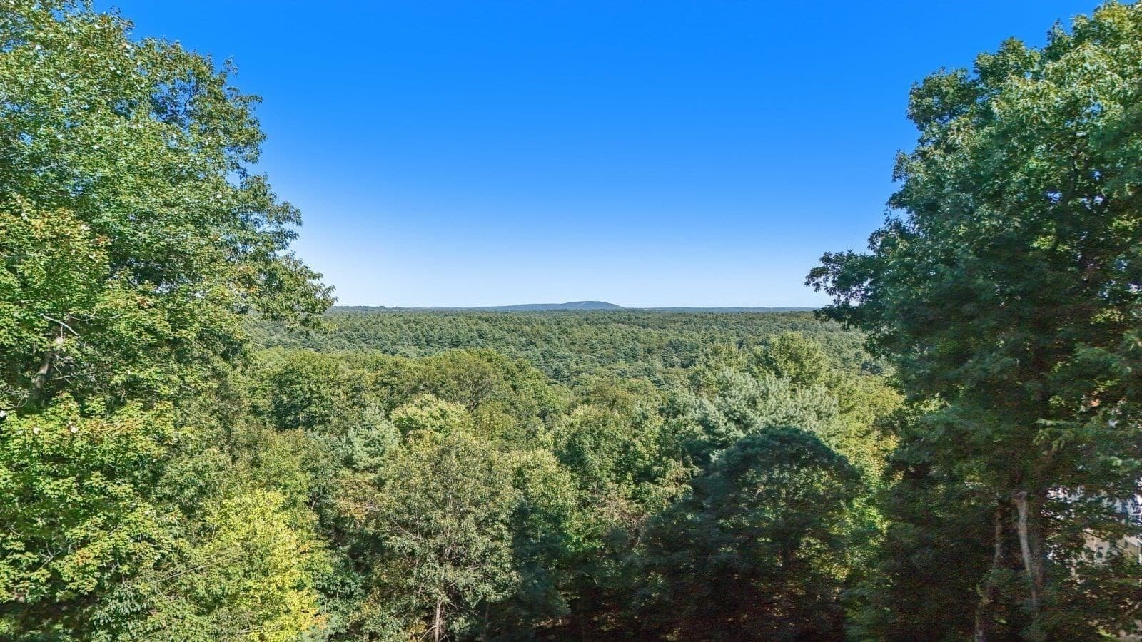 Single Family Residence at 6 Tower Dr, Dover MA 02030, Dover, photo 42 of 42