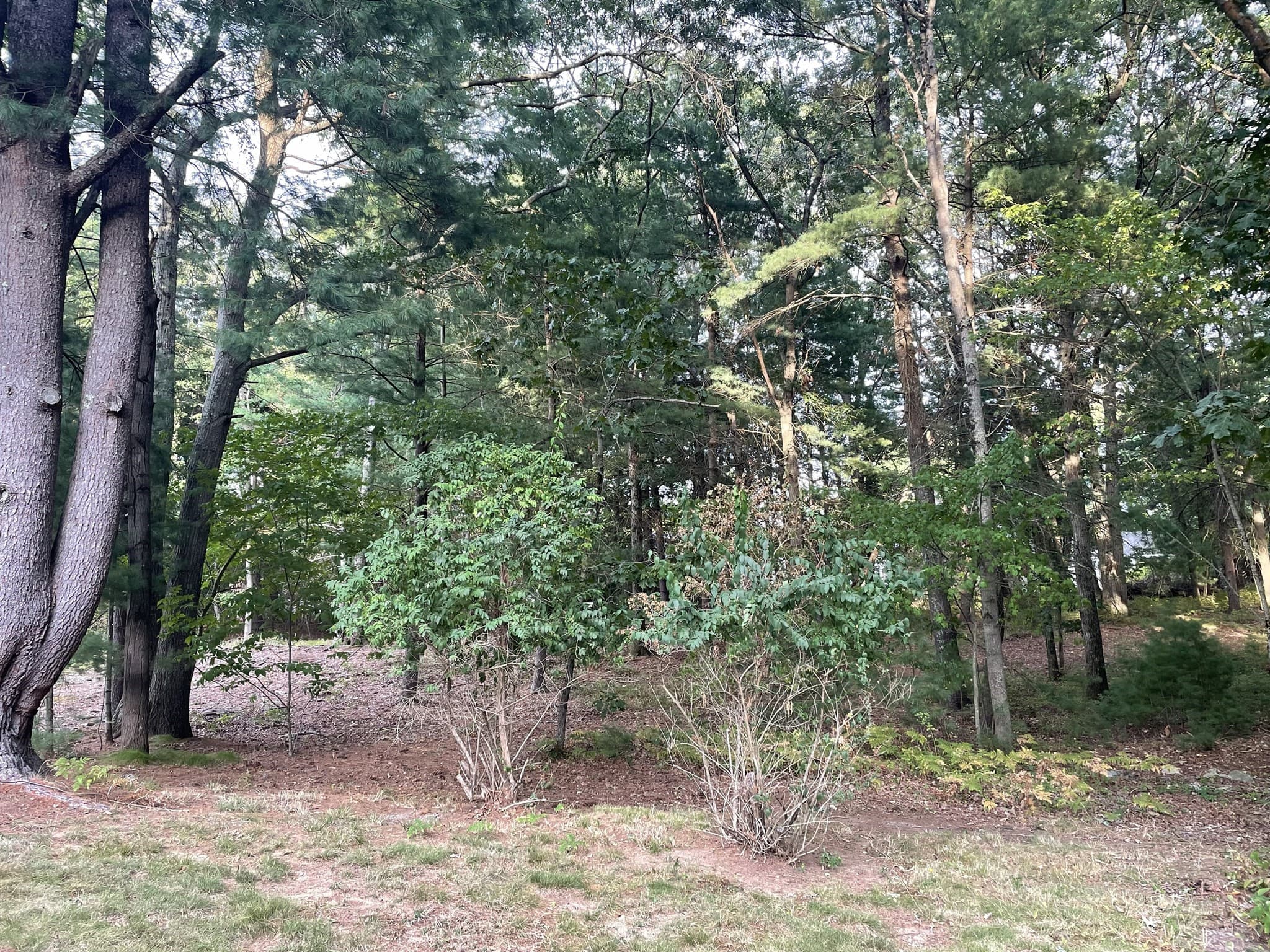 Single Family Residence at 12 Hampton Road, Sharon MA 02067, Sharon, photo 18 of 33