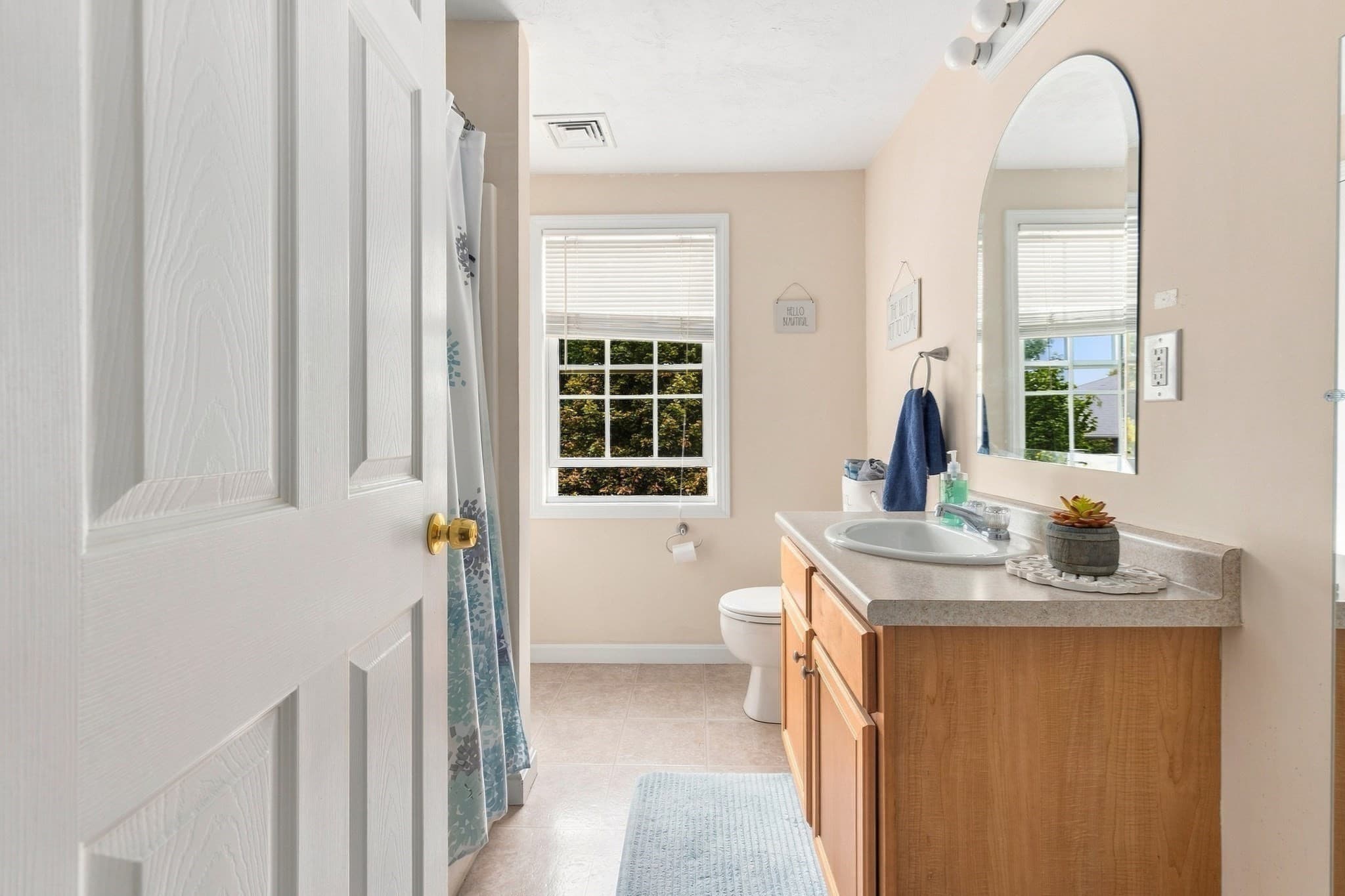 Condominium at 417 Hildreth St # 5, Lowell MA 01850, Lowell, photo 14 of 20