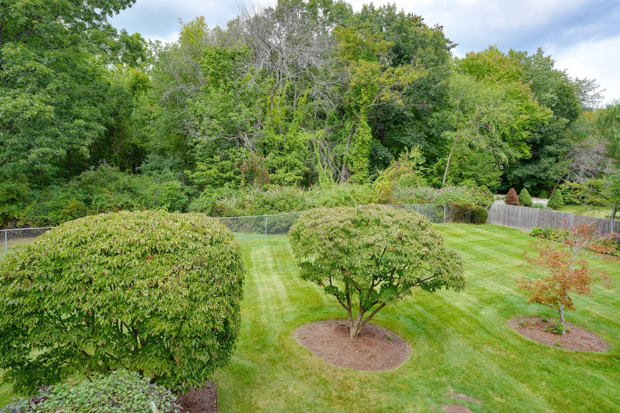Single Family Residence at 14 Fred St, Burlington MA 01803, Burlington, photo 5 of 36