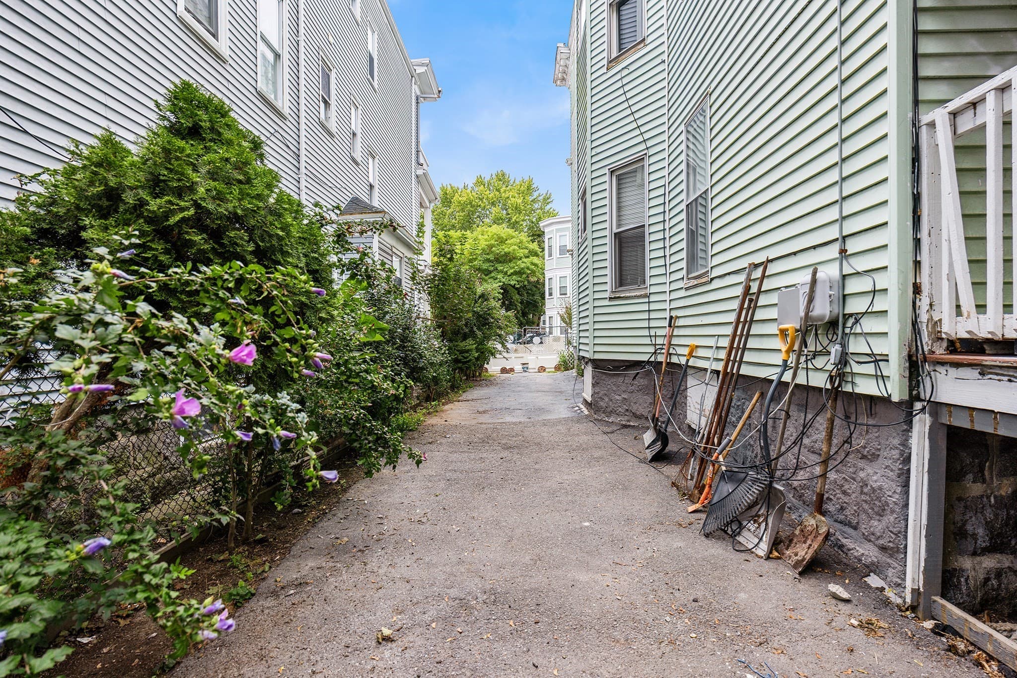 3 Family at 374 Geneva Ave, Boston MA 02122, Boston, photo 38 of 42