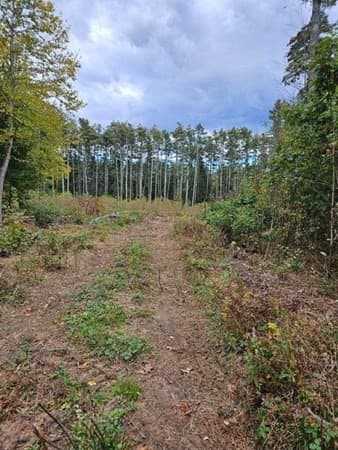 Residential at 53 Daniel Shays Highway, Orange MA 01364, Orange, photo 2 of 2