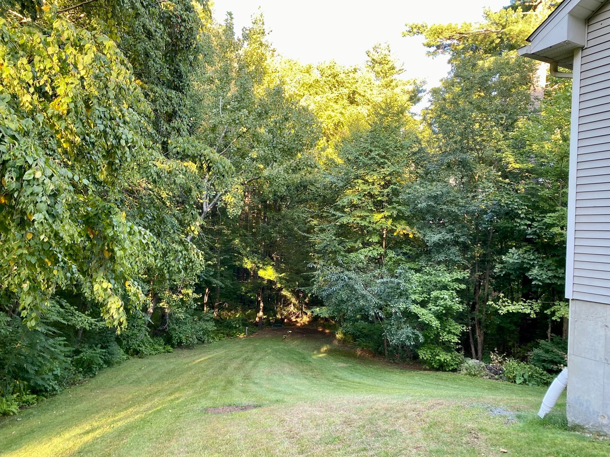 Single Family Residence at 7 Hemlock Hollow, Belchertown MA 01007, Belchertown, photo 4 of 11