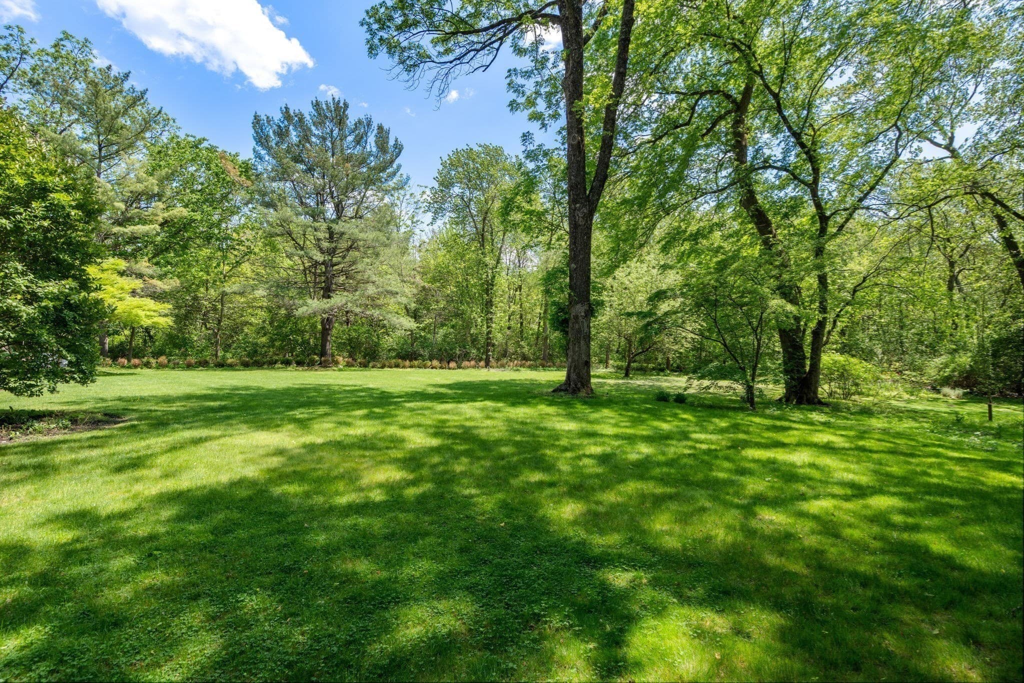 Single Family Residence at 90 Suffolk Rd, Newton MA 02467, Newton, photo 17 of 17