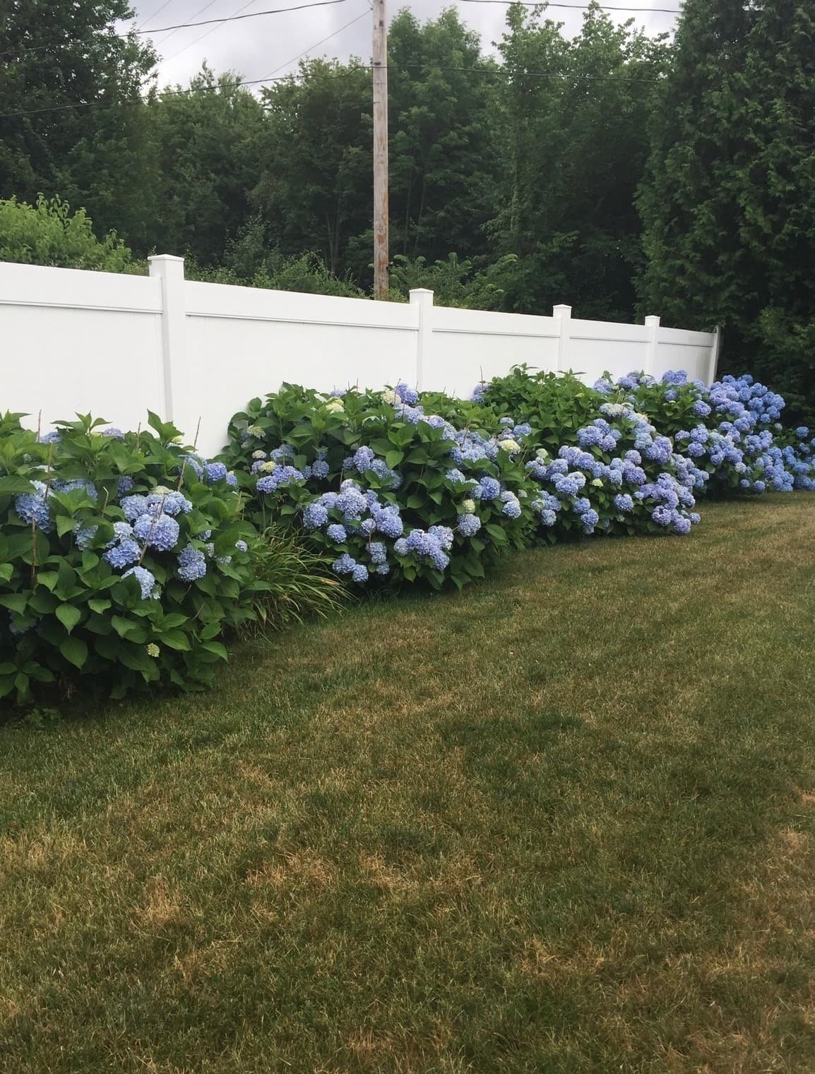 Single Family Residence at 1379 Williams Street, Dighton MA 02715, Dighton, photo 37 of 42