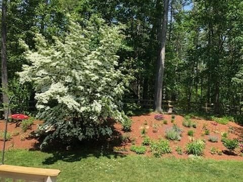 Single Family Residence at 7 Trout Brook Way, Shirley MA 01464, photo 36 of 40