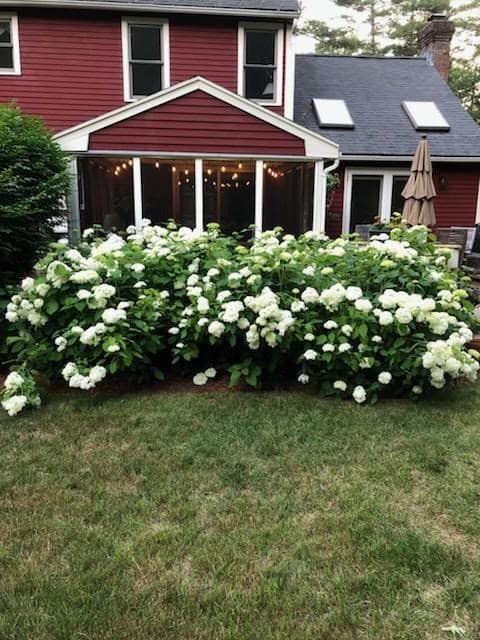Single Family Residence at 7 Trout Brook Way, Shirley MA 01464, photo 38 of 40