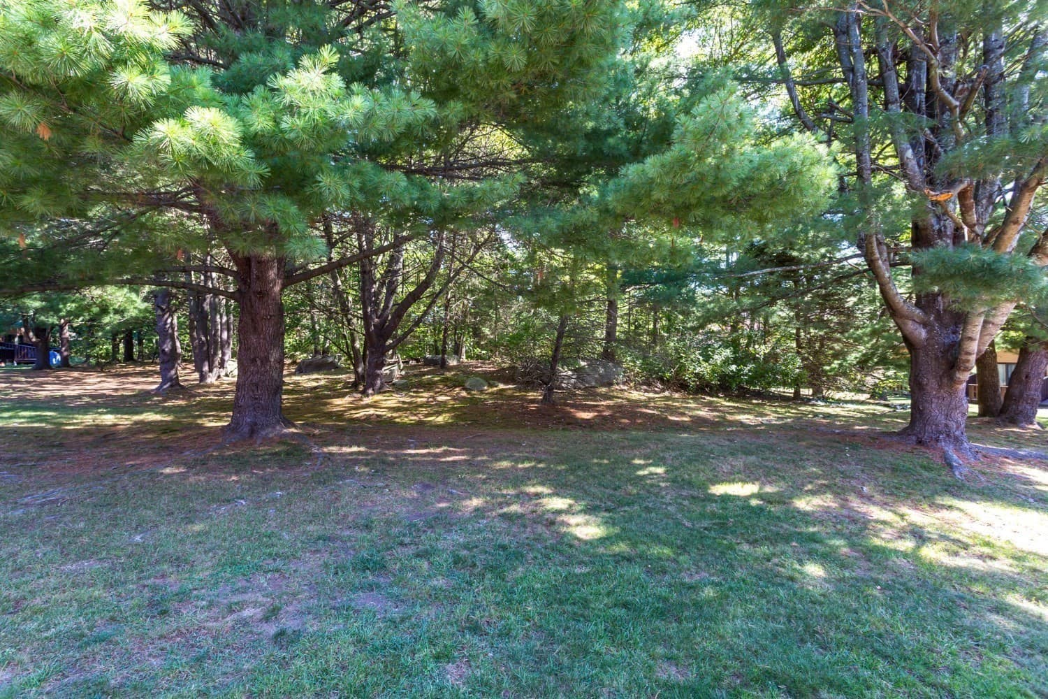 Condominium at 22 Hawthorne Vlg # D, Franklin MA 02038, Franklin, photo 40 of 42