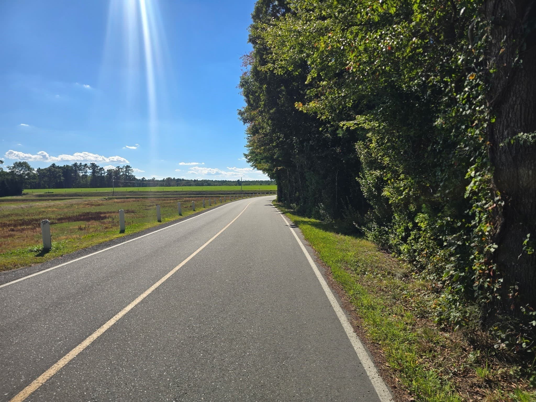 Lot 1 Montgomery Street, Lakeville MA 02347