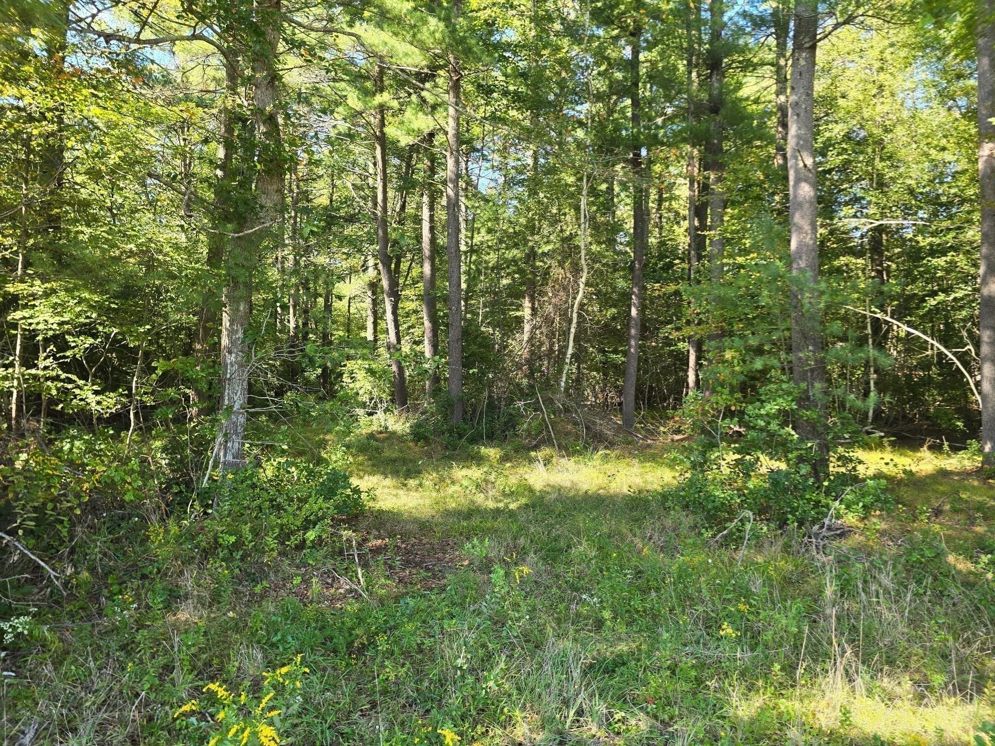 Residential at Lot 1 Montgomery Street, Lakeville MA 02347, Lakeville, photo 4 of 13