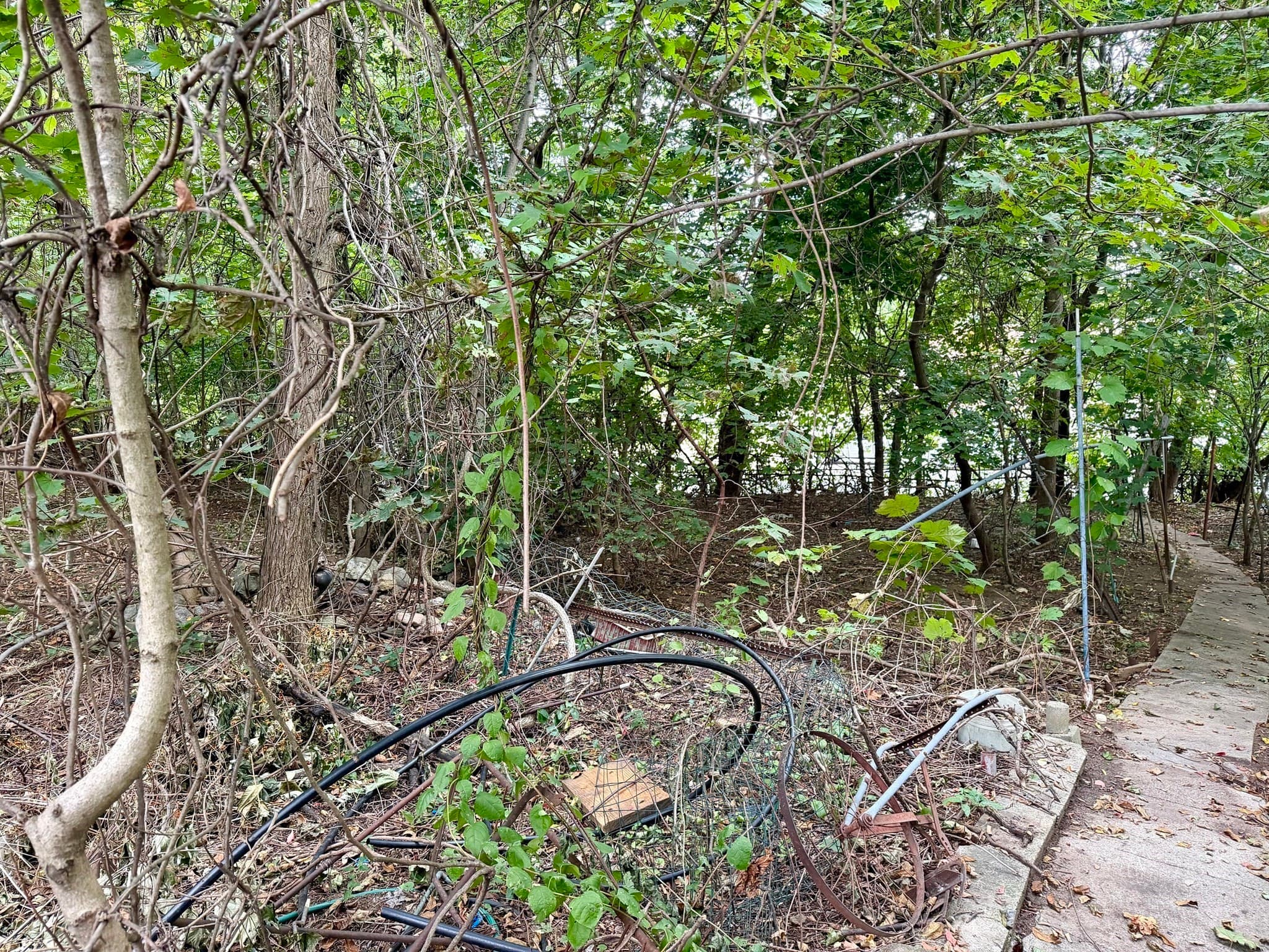 Multi Family at 25 Lyons Ct, Watertown MA 02472, Watertown, photo 6 of 18