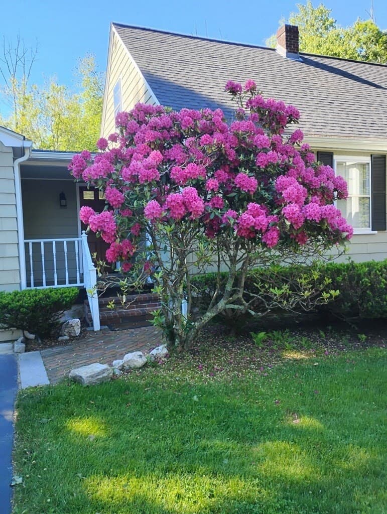 Single Family Residence at 924 Washington St, Franklin MA 02038, Franklin, photo 39 of 41