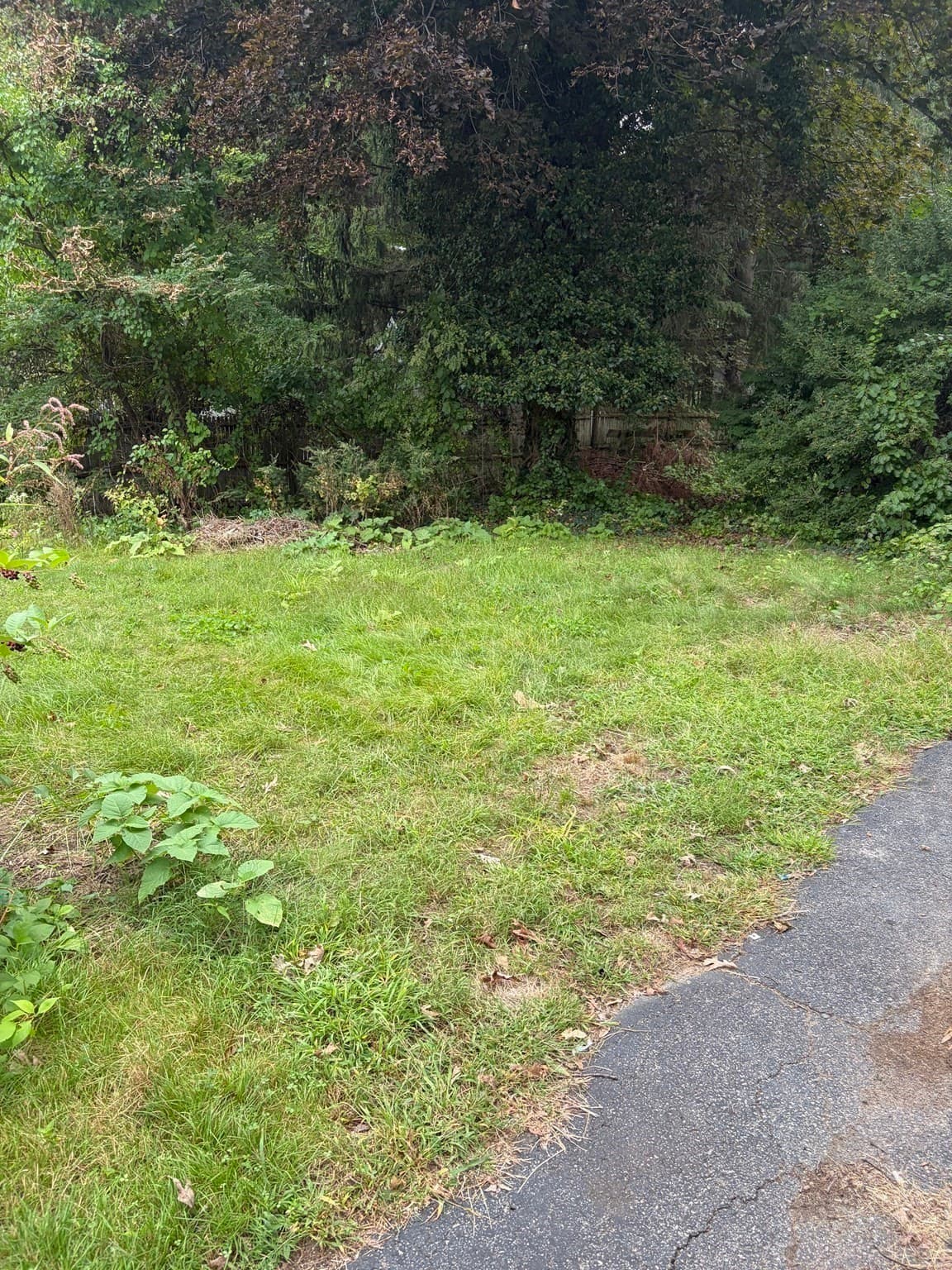 Single Family Residence at 1275 Washington Street, Walpole MA 02081, Walpole, photo 11 of 16