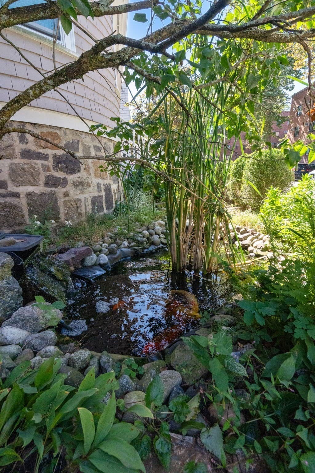 Condominium at 89-91 St. Paul St. # 2, Brookline MA 02446, Brookline, photo 36 of 37