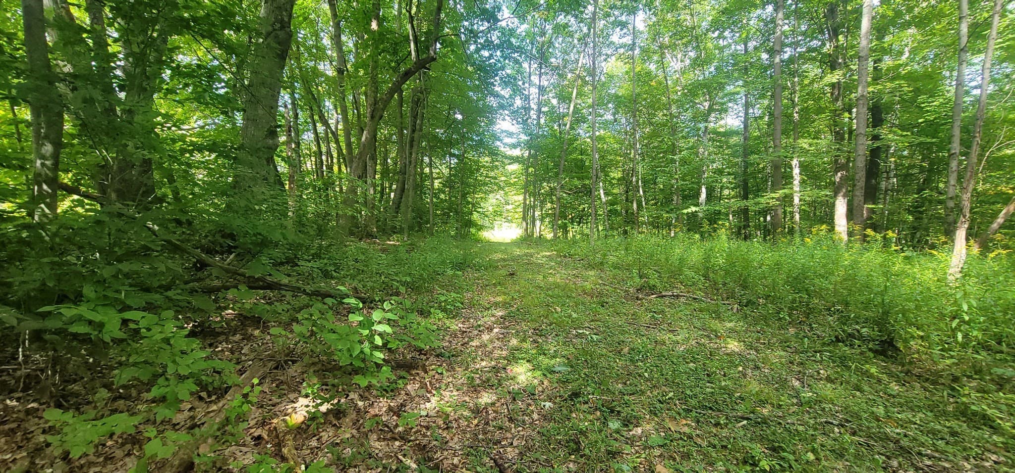 Residential at 0 Reservoir Rd., North Adams MA 01247, North Adams, photo 2 of 11