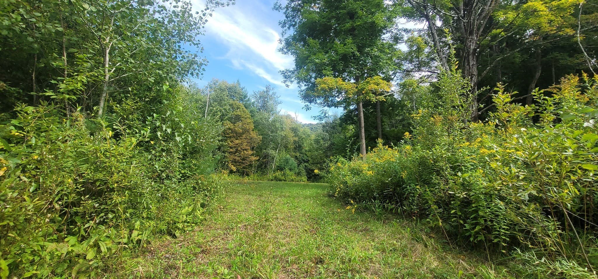 Residential at 0 Reservoir Rd., North Adams MA 01247, North Adams, photo 6 of 11