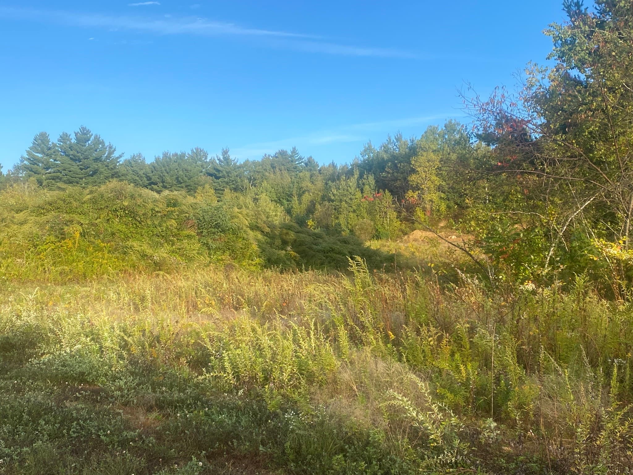Residential at lots Apple Rd, Brimfield MA 01010, Brimfield, photo 3 of 9