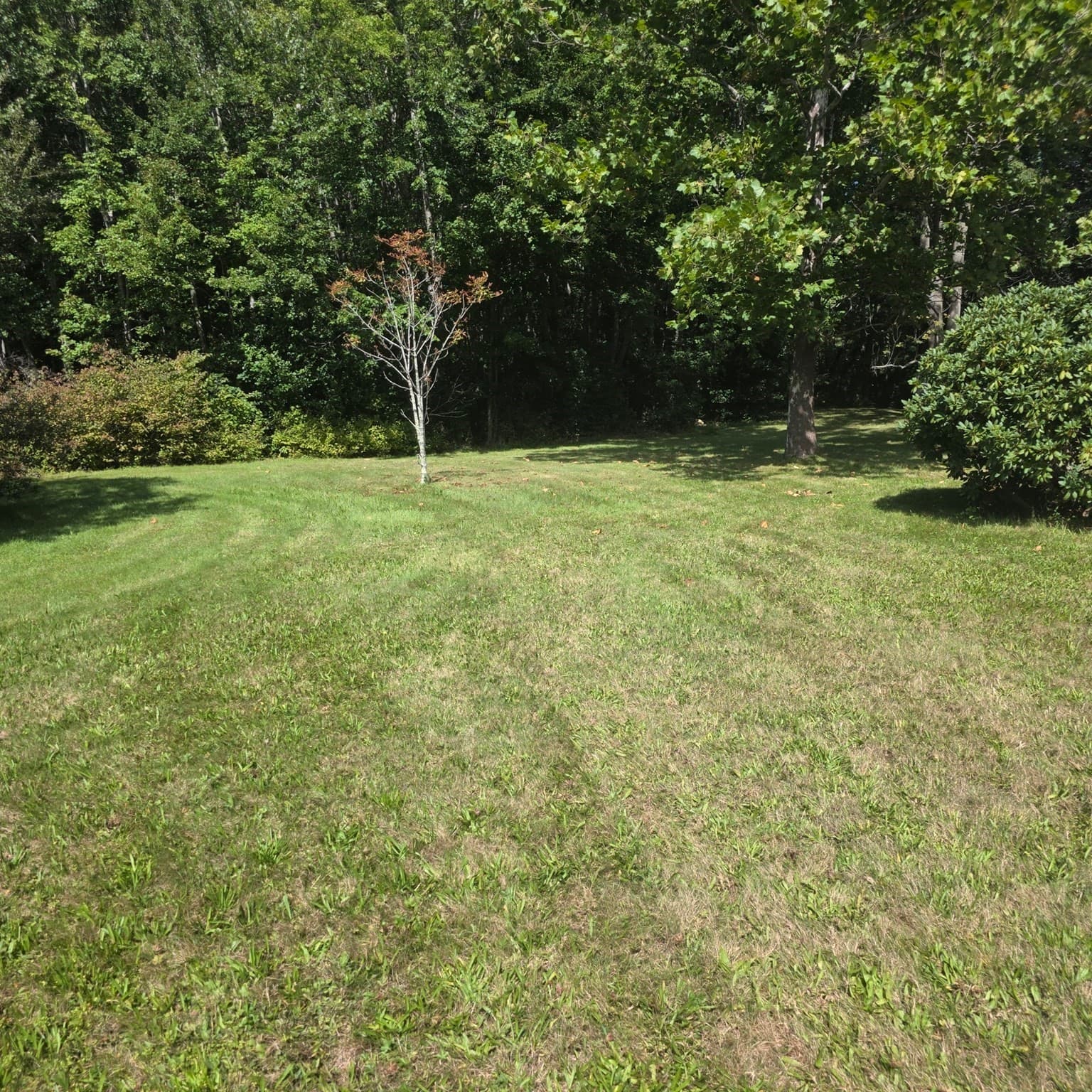 Single Family Residence at 549 East Washington Street, Hanson MA 02341, Hanson, photo 16 of 19
